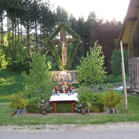 Apartment Sulzerhof Bad Rippoldsau-Schapbach